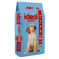 IDEAL Dog Puppy