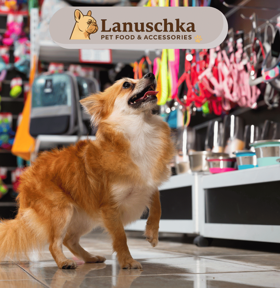 Customer Register Page Image
